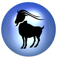 2016 Capricorn Horoscope