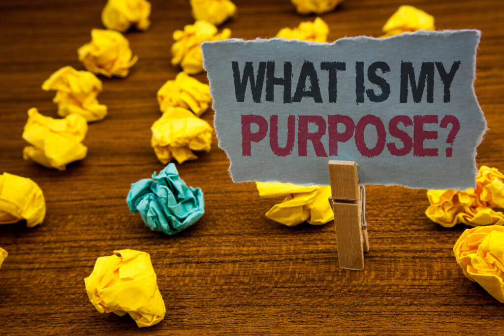 Question of purpose